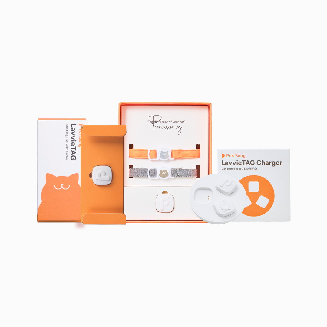 LavvieTAG Starter Bundle