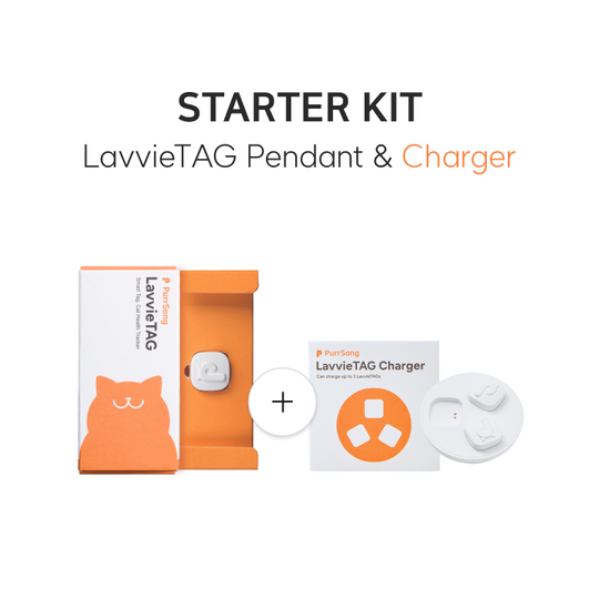 LavvieTAG Starter Bundle