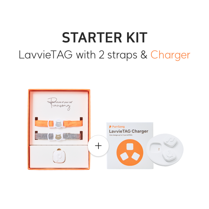 LavvieTAG Starter Bundle