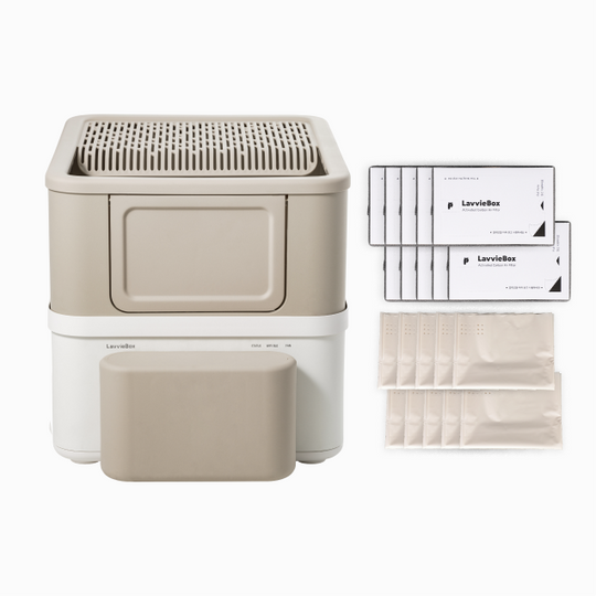 LavvieBox Starter Bundle