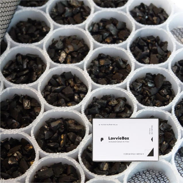 LavvieBox Filter (10ea)