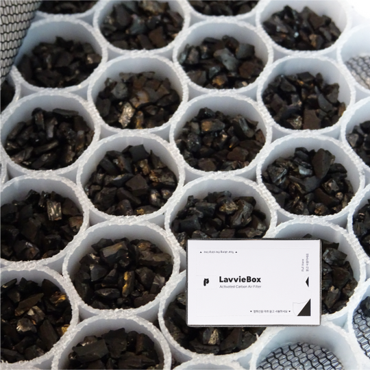 LavvieBox Filter (10ea)