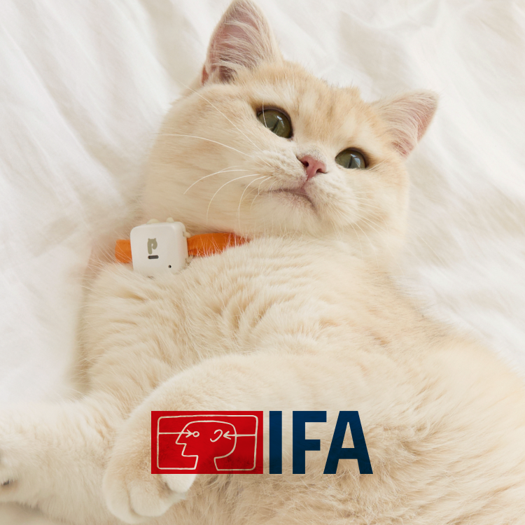 PurrSong to Showcase Next-Gen Pet Tracker LavvieTAG2 at IFA 2025