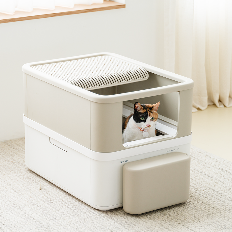 IoT Litter Box Revolution: How LavvieBox Enhances Feline Health Through Bowel Movement Tracking