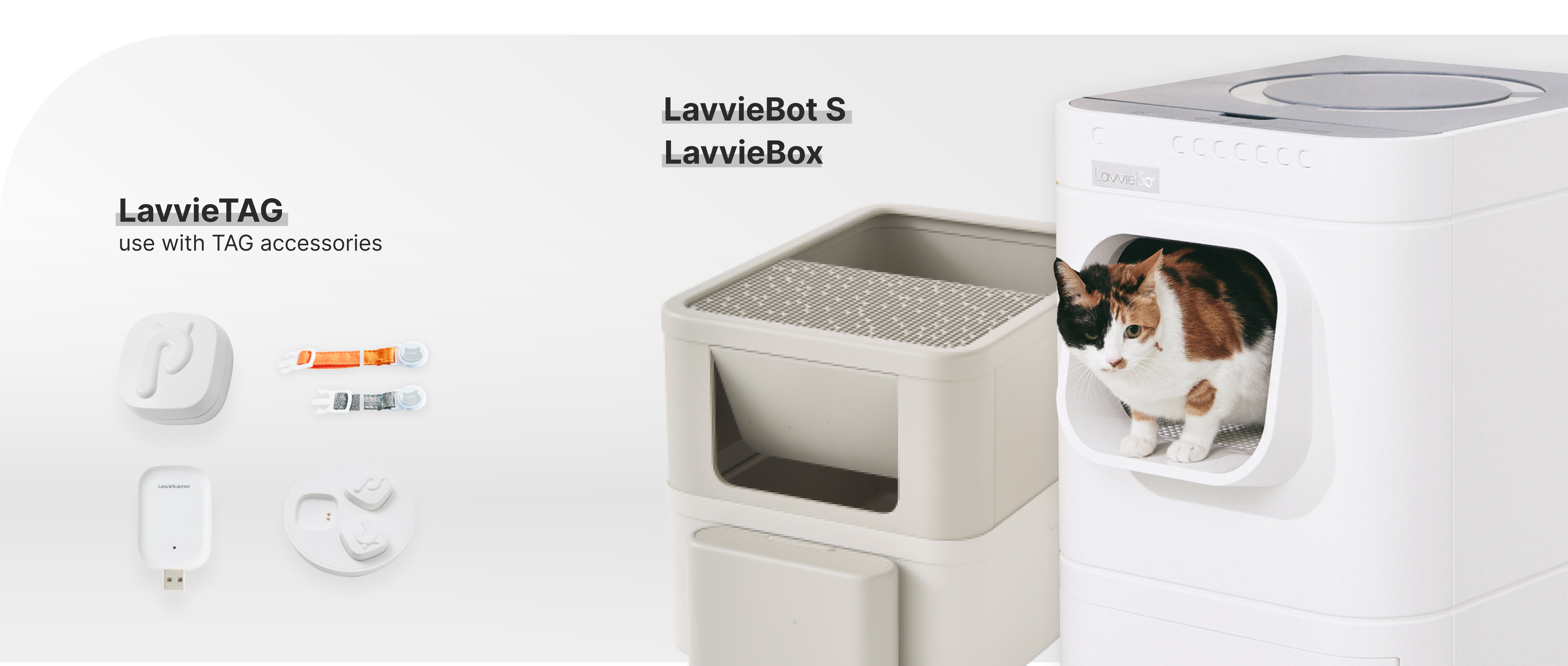 Lavviebot price sale