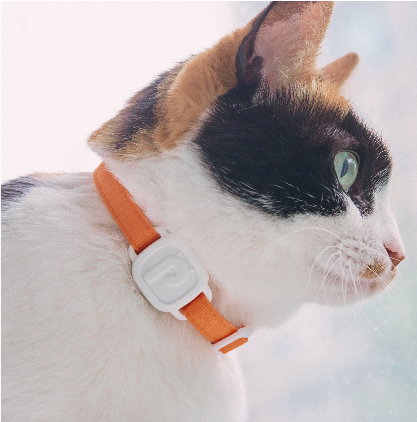 21_0917_00554_1800x1800.png?v= 21_0917_00554_1800x1800.png?v=